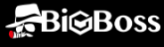 BigBoss-logo